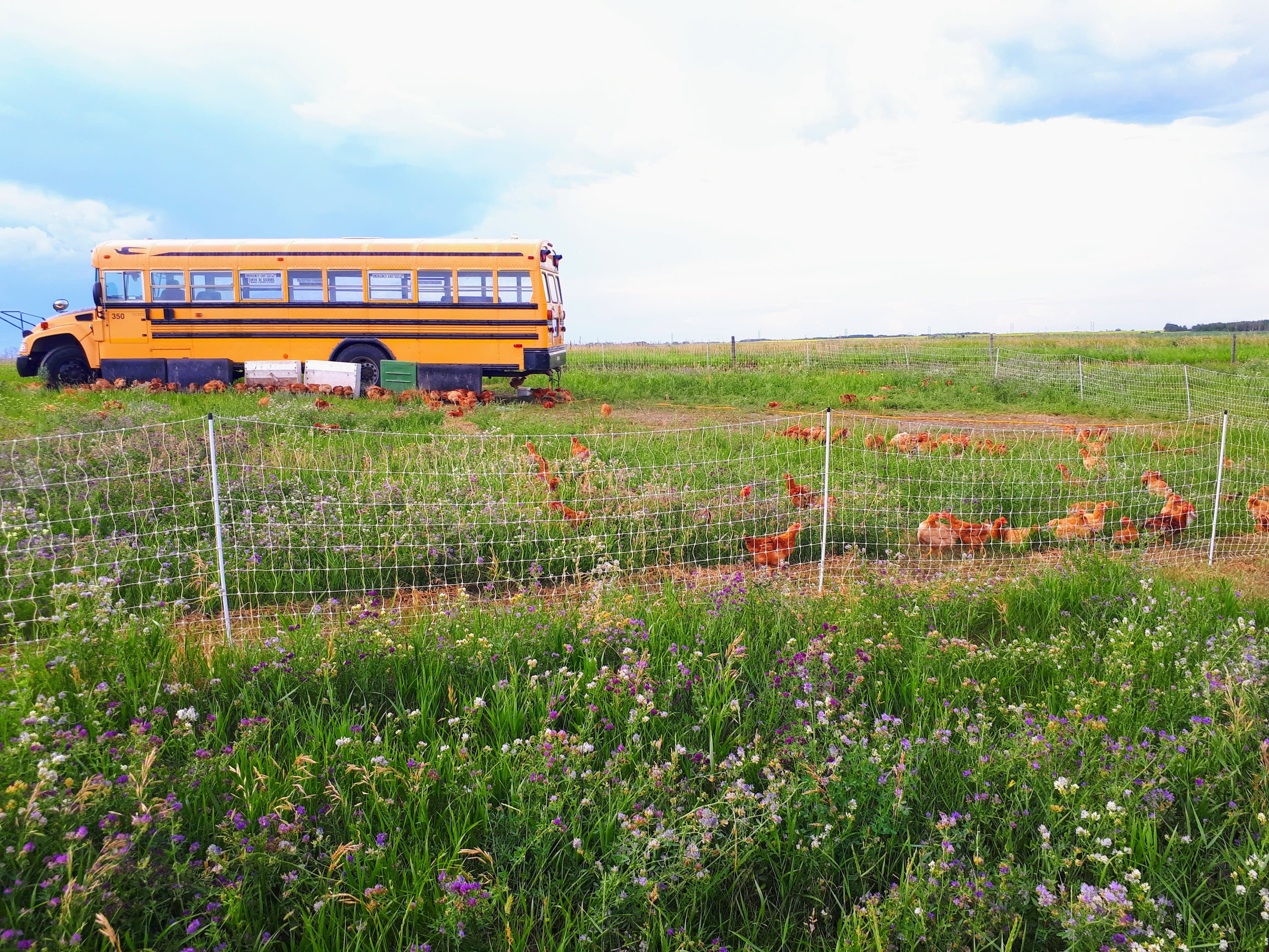 Peak and Prairie bus photo